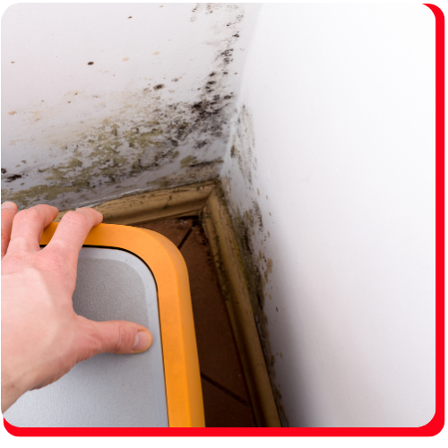 Commercial Black Mold Removal Toronto Impact Restore (4) (1)