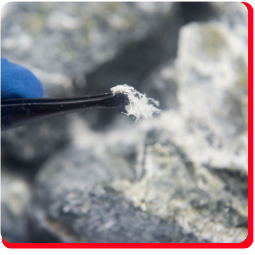 Close-up of asbestos fibers being extracted with tweezers during commercial abatement testing in Toronto.