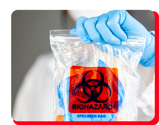 biohazard cleanup biohazard cleanup