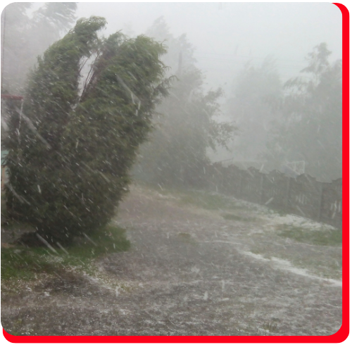 Tree bending under intense winds and torrential rain during a severe storm in Toronto—illustrating the urgent need for commercial storm damage restoration to address flooding, structural damage, and safety hazards.