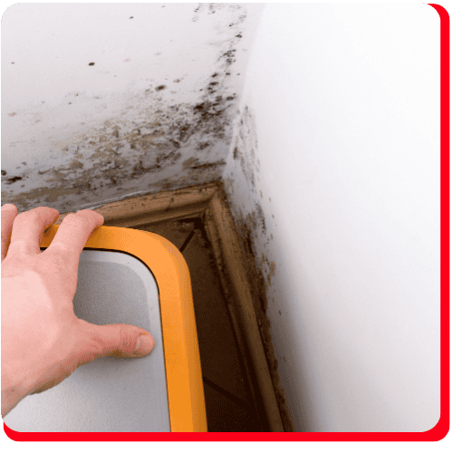 Commercial Black Mold Removal Toronto Impact Restore (4) (1)