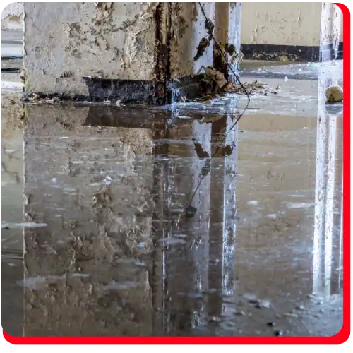 A puddle of water reflects walls and windows inside a damaged commercial building with peeling paint and debris, highlighting the need for commercial water damage restoration, commercial fire restoration, and comprehensive fire damage restoration services.